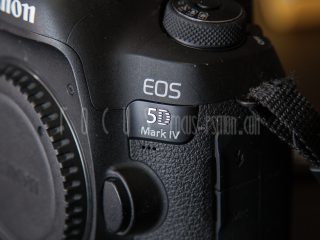 EOS 5D Mark IVを1年間使って感じた8つの感想